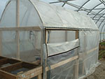 mini greenhouse